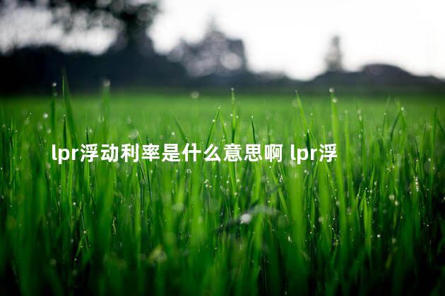lpr浮动利率是什么意思啊 lpr浮动利率2021